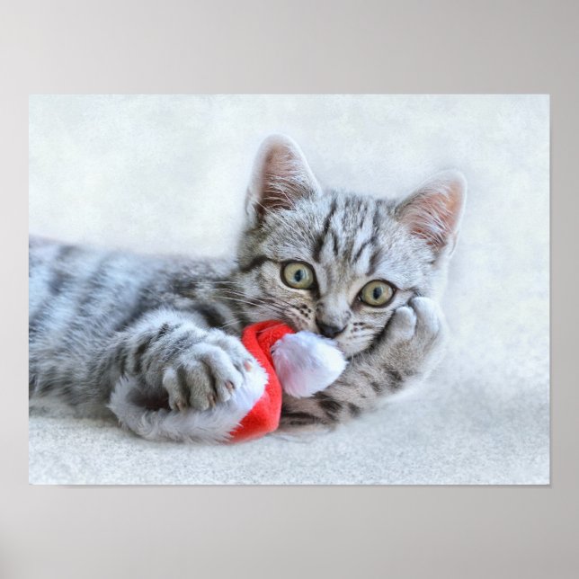 Jul Kitten Poster (Framsidan)