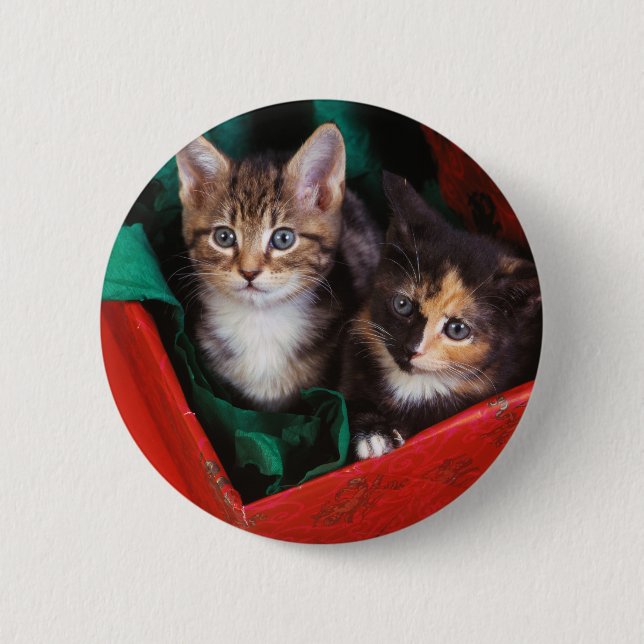 Jul Kittens Knapp (Framsida)