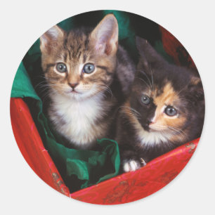 Jul Kittens Runt Klistermärke