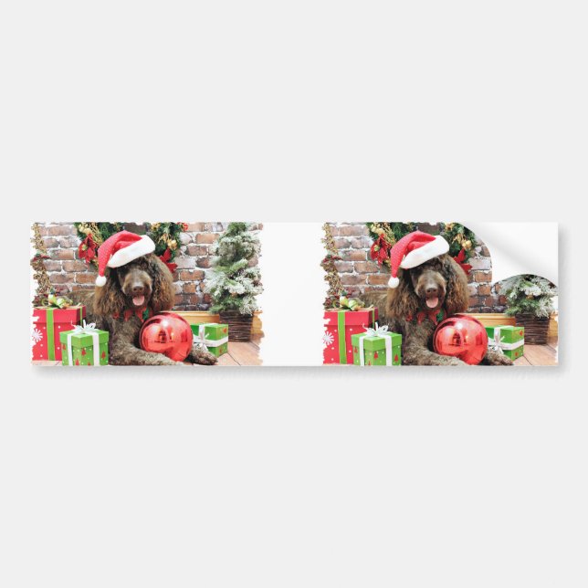 Jul - LabraDoodle - Harley Bildekal (Framsidan)