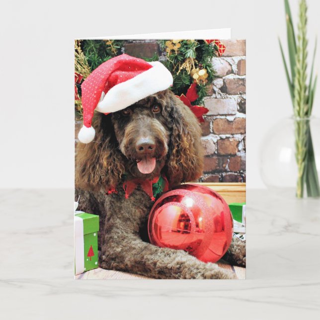 Jul - LabraDoodle - Harley Helgkort (Framsida)