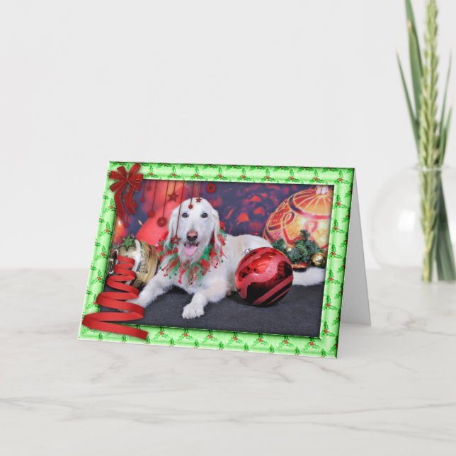 Jul - LabraDoodle - Izzy Helgkort (Framsida)