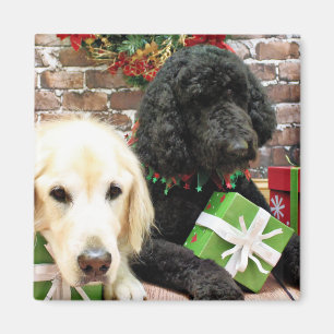 Jul - Labradoodle mjölnare - guld- Retriever Magnet