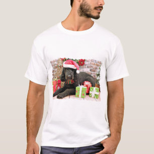 Jul - LabraDoodle - mjölnare Tee