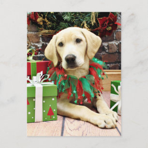Jul - Labrador - Buck Helg Vykort