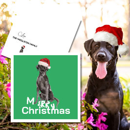 Jul Labrador Hund White Grönt Merry Hälsning