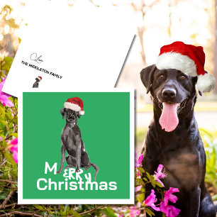 Jul Labrador Hund White Grönt Merry Hälsning