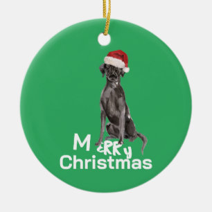 Jul Labrador Hund White Grönt Merry Hälsning Julgransprydnad Keramik