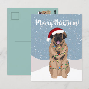 Jul Leonberger Vykort