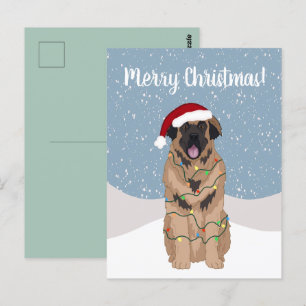 Jul Leonberger Vykort