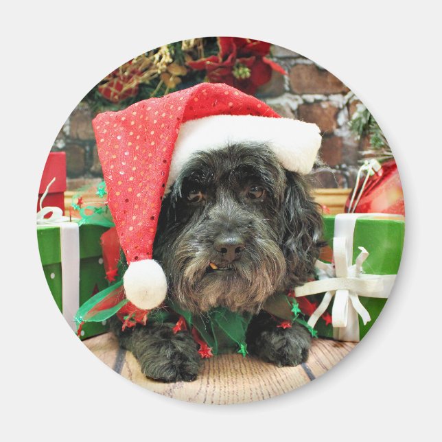 Jul - Lhasa Apso - Pixie Magnet (Framsidan)