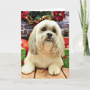 Jul - Lhasa Apso - solo Helgkort