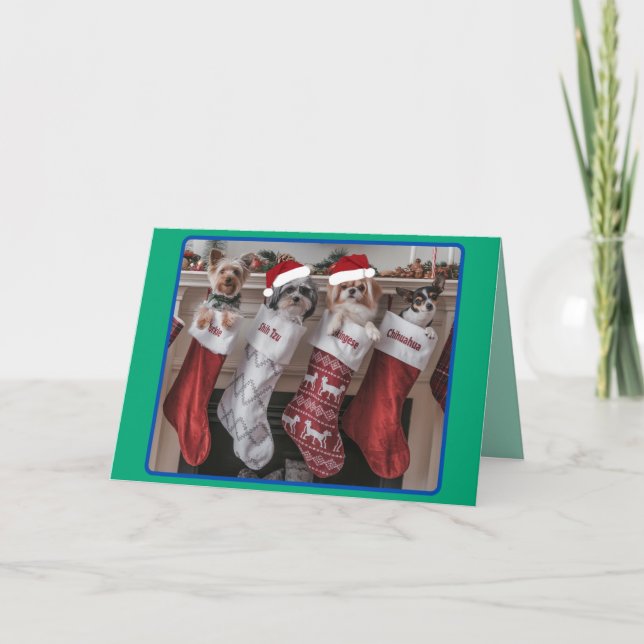 Jul litet hundmantel Holiday Card Helgkort (Framsida)