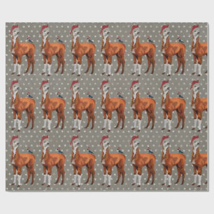 JUL LLAMA & FÅGEL som slår in papper Presentpapper