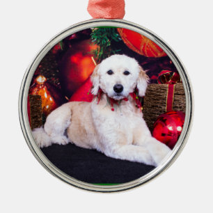 Jul - Maggie - GoldenDoodle Julgransprydnad Metall