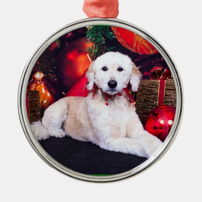 Jul - Maggie - GoldenDoodle Julgransprydnad Metall (Framsidan)