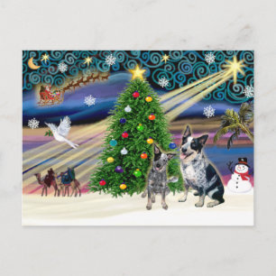 Jul Magic Australian Cattle Hundar (2) Helg Vykort