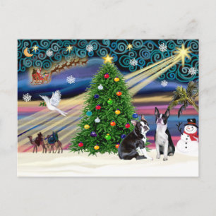 Jul Magic-Boston Terrier (2) Helg Vykort