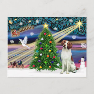 Jul Magic Brittany Spain Helg Vykort