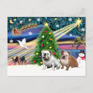 Jul Magic English Bulldog (två) Helg Vykort