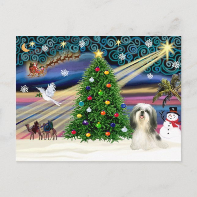 Jul Magic Shih Tzu 4 Helg Vykort (Framsida)