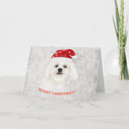 Jul, maltesisk valp helgkort