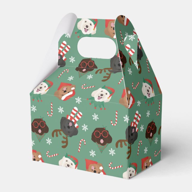 Jul Maltipoo Hundar Presentaskar (Framsidan Sidan)