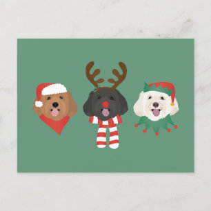 Jul Maltipoo Hundar Vykort