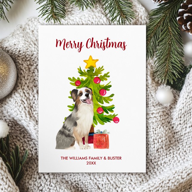 Jul med Australian Shepherd hund-familj Julkort (Skapare uppladdad)