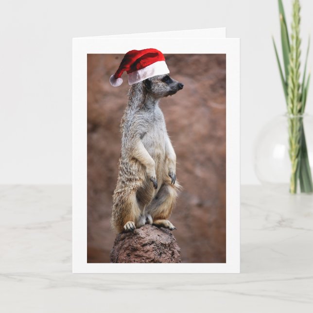 Jul MeerKat Helgkort (Framsida)