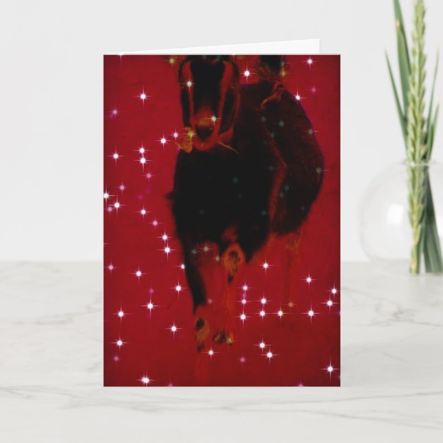 Jul Misha Helgkort (Framsida)