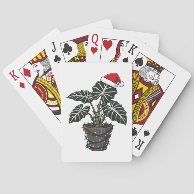  Jul Monstera Deliciosa Split Leaf Tropisk  Casinokort (Baksidan)