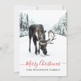 Jul Moose Winter Snö God jul Julkort