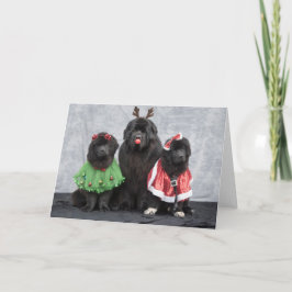 Jul Newfies Välkomstkort Helgkort