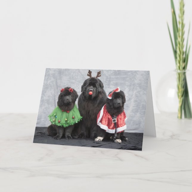 Jul Newfies Välkomstkort Helgkort (Framsida)