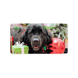 Jul - Newfoundland - Izzie Adressetikett