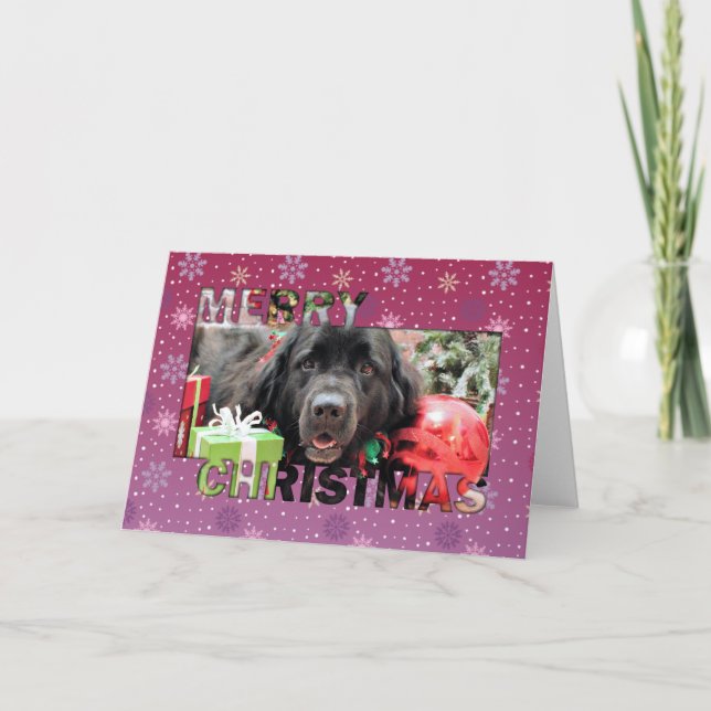 Jul - Newfoundland - Izzie Helgkort (Framsida)