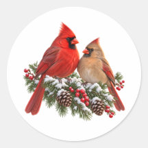 Jul Norr Kardinalpar Snöig Ständigt Grön