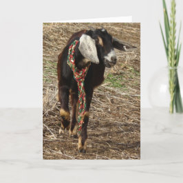 jul Nubian Goat Kid Helgkort