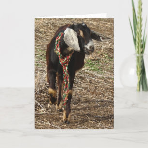 jul Nubian Goat Kid Helgkort