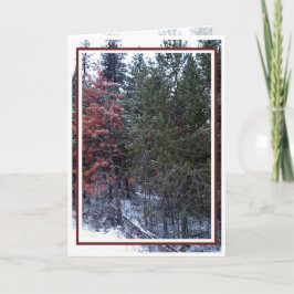 Jul, nyår, Helgdag - blank Helgkort