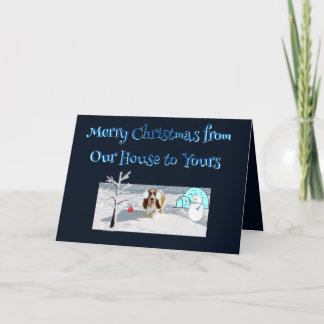 Jul Önskemål w/Vacker Basset i Snö Kort