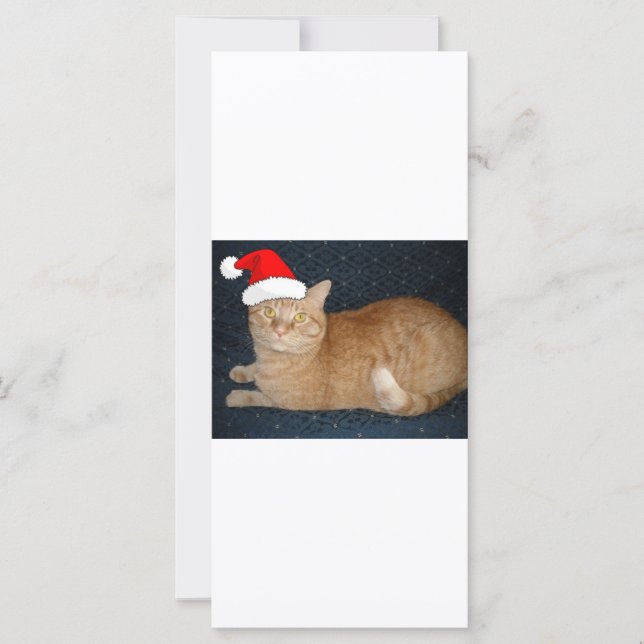 Jul Orange Tabby katt (Framsida)