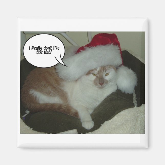 Jul Orange Tabby katt Humbug Magnet (Framsidan)