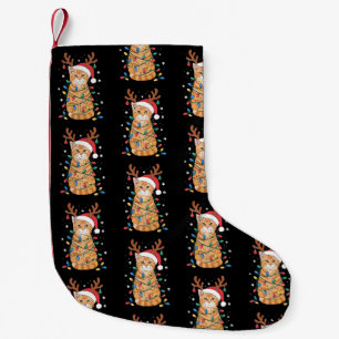 Jul Orange Tabby Katt Renhorn Ljus Liten Julstrumpa