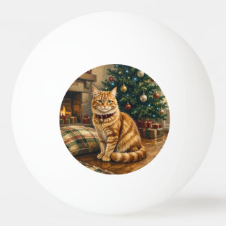 jul orange tabby pingisboll