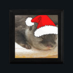 Jul Otter Minnesask<br><div class="desc">underbar utter i Santa Hat</div>