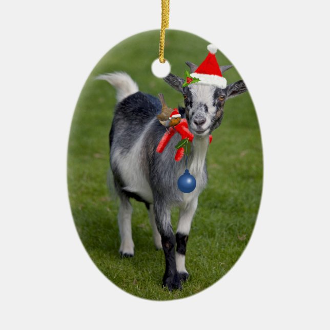 Jul Pals Ornament (Framsidan)
