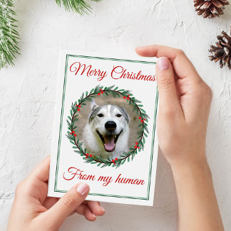 Jul Pets Foto Krans Julkort