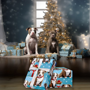 Jul Piebald PitBull Puppies Red Rosett band Presentpapper